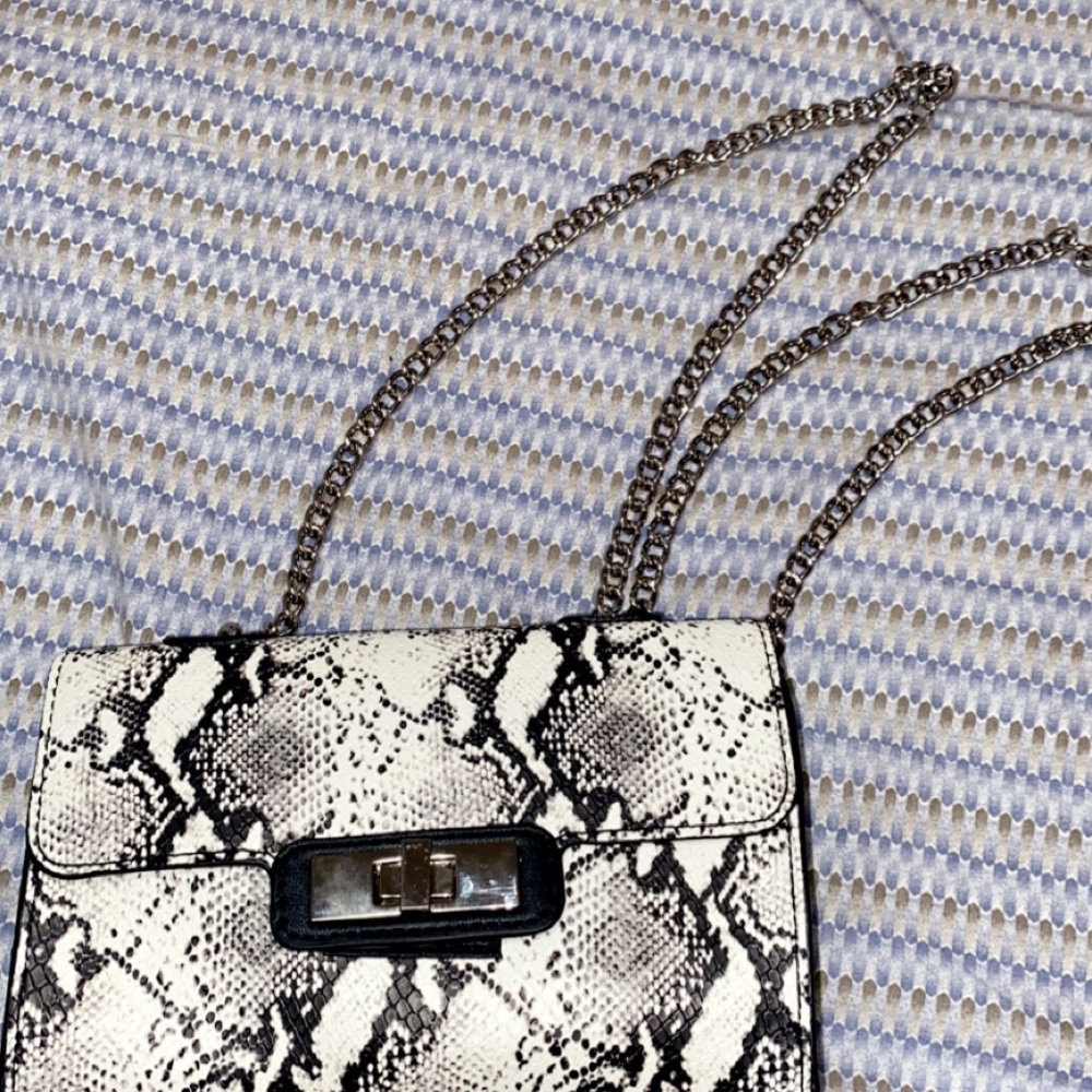 Steve Madden bag